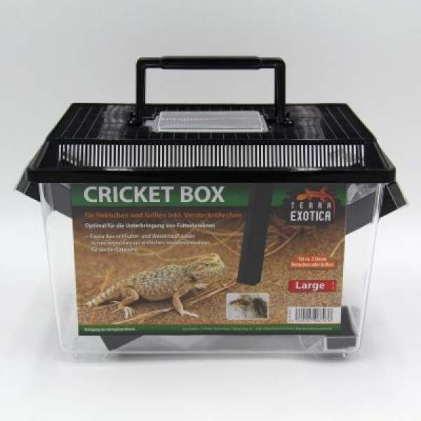 Preview: Cricket Box Verschiedene Größen